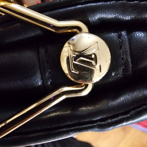 Louis Vuitton Coussin Bag Embossed Lambskin PM - Picture 9 of 16